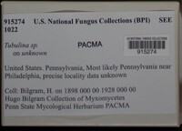 Image Associated With the Occurence